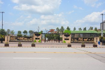 Property for Sale in Bahria Enclave Islamabad