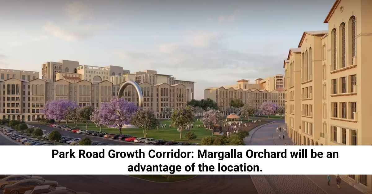 Zoom Line Islamabad Real Estate